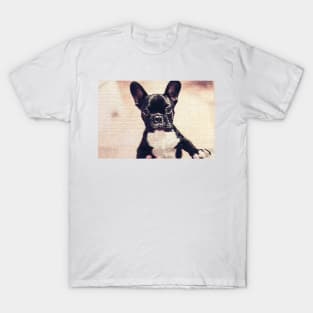 Cute pug Lover T-Shirt